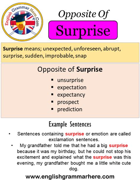 antonym surprised|opposite of surprise meaning.